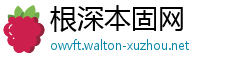 根深本固网